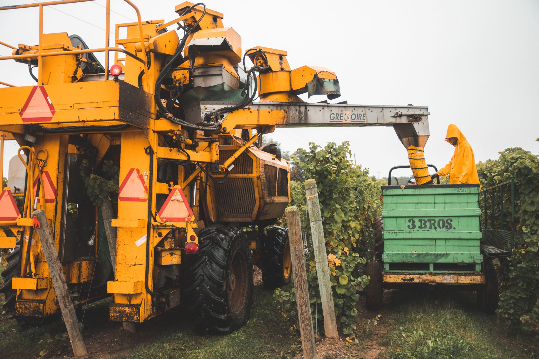 harvest 2021