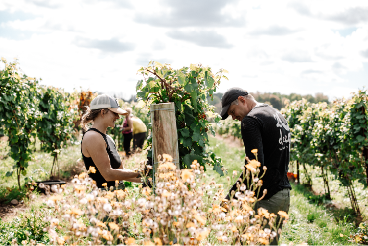 20Deep_2024_Oct_Harvesting-382 (1)