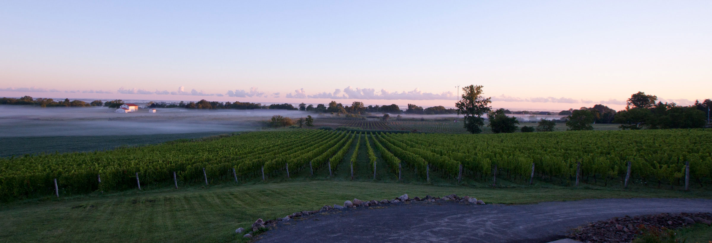 WEB-Panorana-foggy-morning-WEB