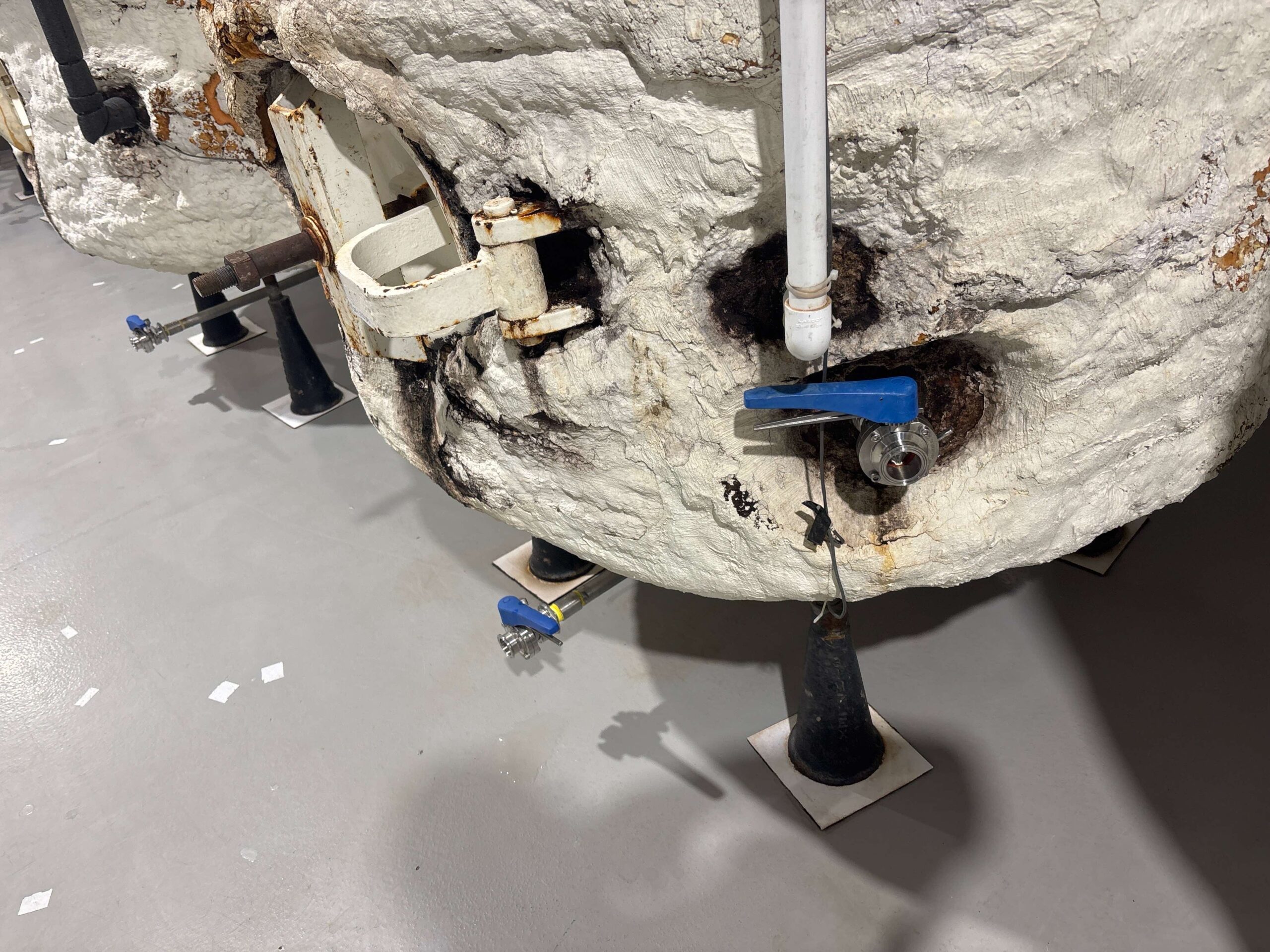 compressed_image_picker_624ED965-C92D-4F14-B9EA-3D38C5F239EC-6255-00002F9EBD650688